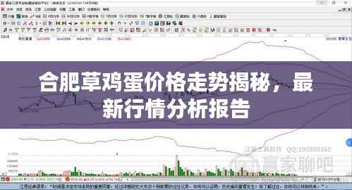合肥草鸡蛋价格走势揭秘,最新行情分析报告