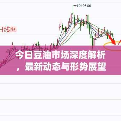 今日豆油市场深度解析,最新动态与形势展望