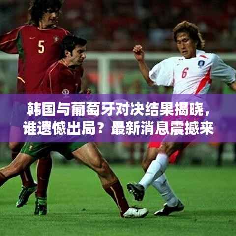韩国与葡萄牙对决结果揭晓,谁遗憾出局?最新消息震撼来袭!