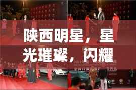 陕西明星,星光璀璨,闪耀天际