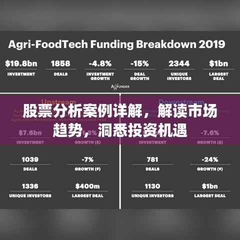 股票分析案例详解,解读市场趋势,洞悉投资机遇