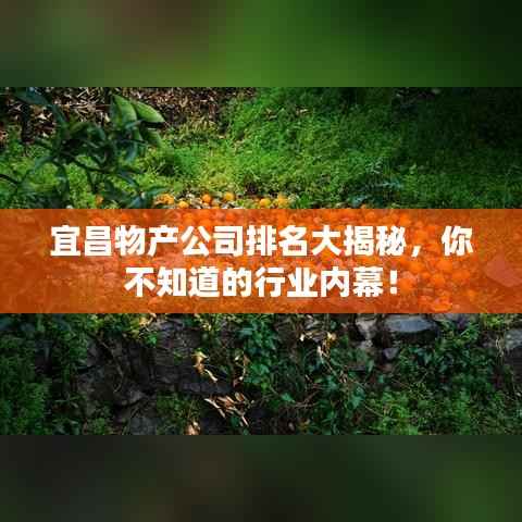 宜昌物产公司排名大揭秘，你不知道的行业内幕！