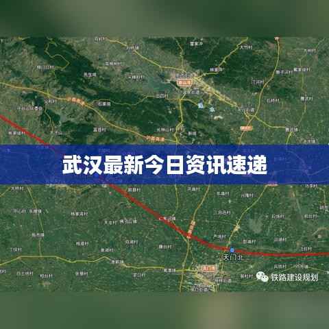武汉最新今日资讯速递