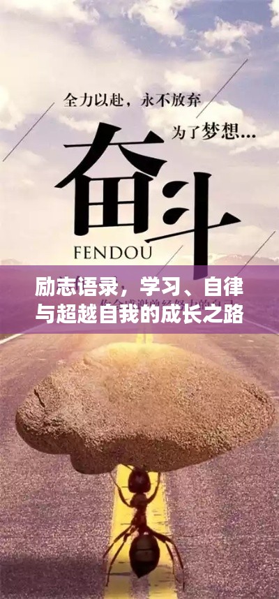 励志语录,学习、自律与超越自我的成长之路