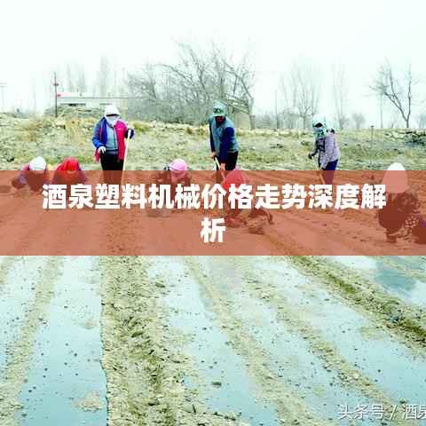 酒泉塑料机械价格走势深度解析