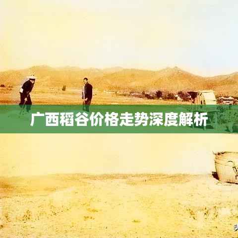 广西稻谷价格走势深度解析