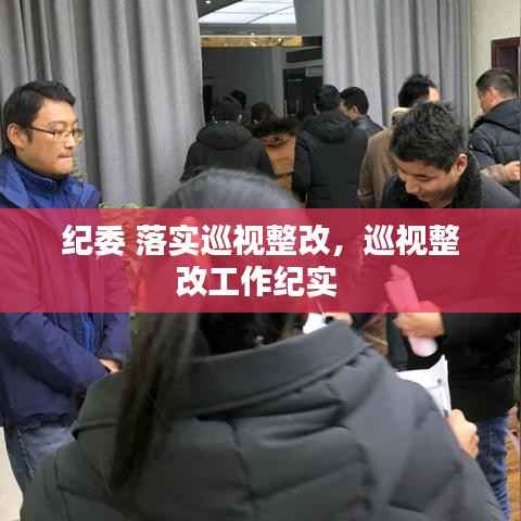 纪委 落实巡视整改，巡视整改工作纪实 