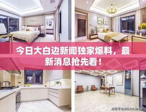 今日大白边新闻独家爆料,最新消息抢先看!