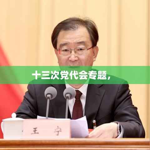 十三次党代会专题,