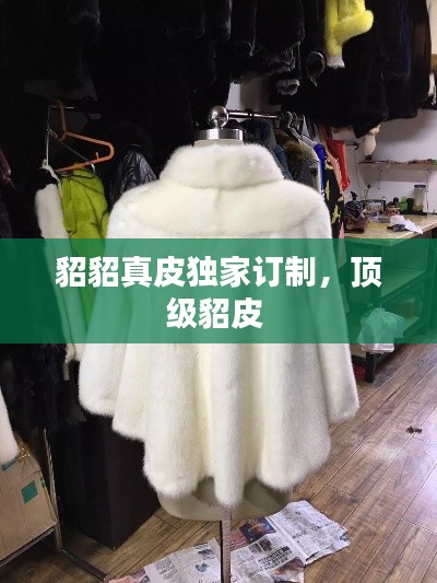 貂貂真皮独家订制,顶级貂皮