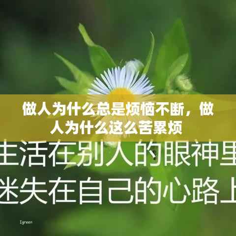 做人为什么总是烦恼不断,做人为什么这么苦累烦