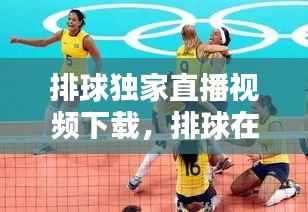 排球独家直播视频下载，排球在线直播免插件 