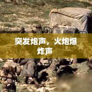 突发炮声,火炮爆炸声