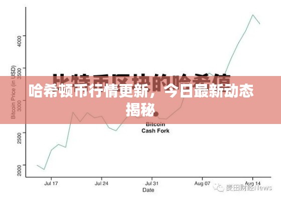 哈希顿币行情更新,今日最新动态揭秘