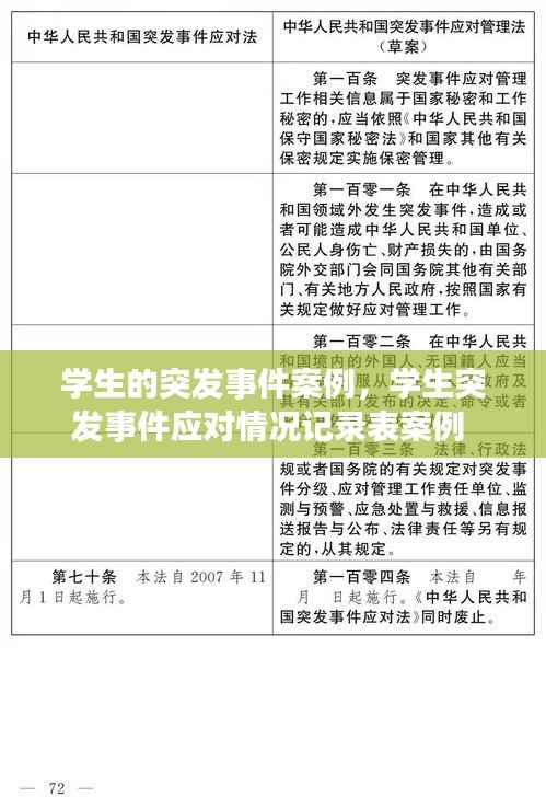 学生的突发事件案例,学生突发事件应对情况记录表案例