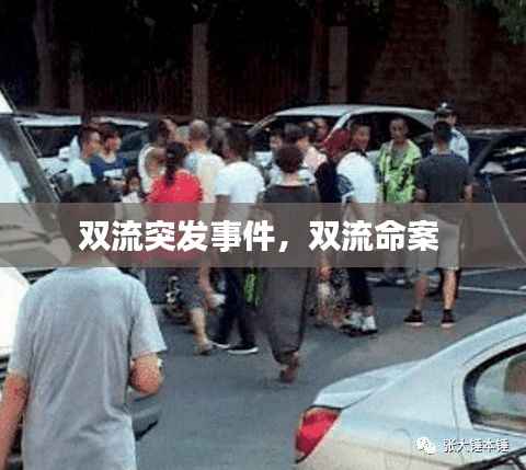 双流突发事件，双流命案 