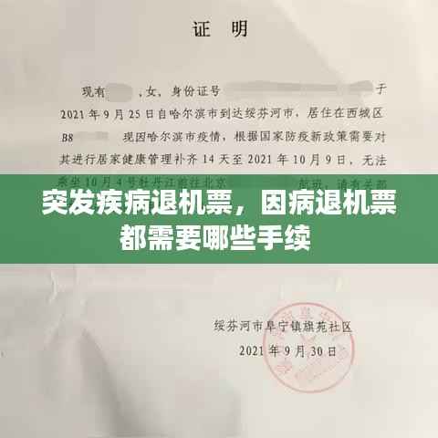 突发疾病退机票,因病退机票都需要哪些手续