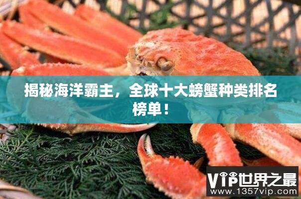 揭秘海洋霸主,全球十大螃蟹种类排名榜单!