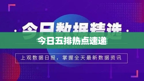 今日五排热点速递