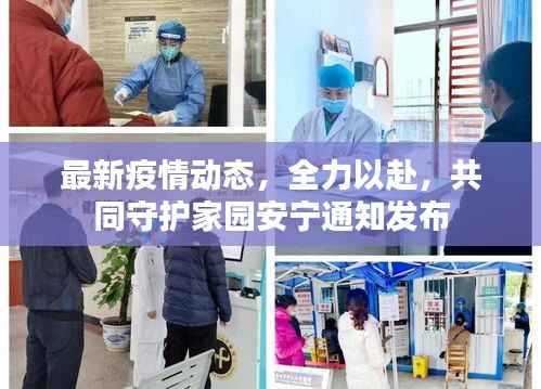 最新疫情动态,全力以赴,共同守护家园安宁通知发布