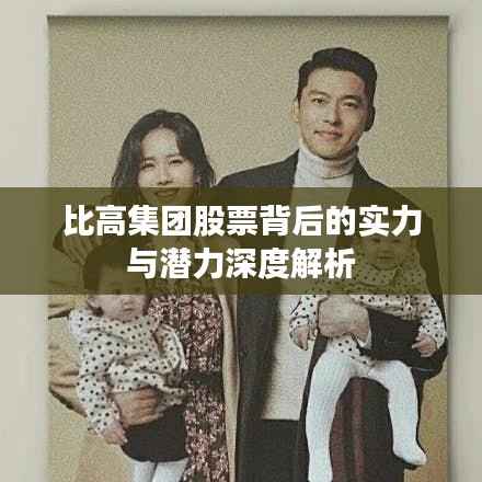 比高集团股票背后的实力与潜力深度解析